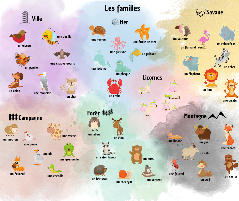 Imagier jeu 7 familles animaux et lieux de vie sur Tutwi